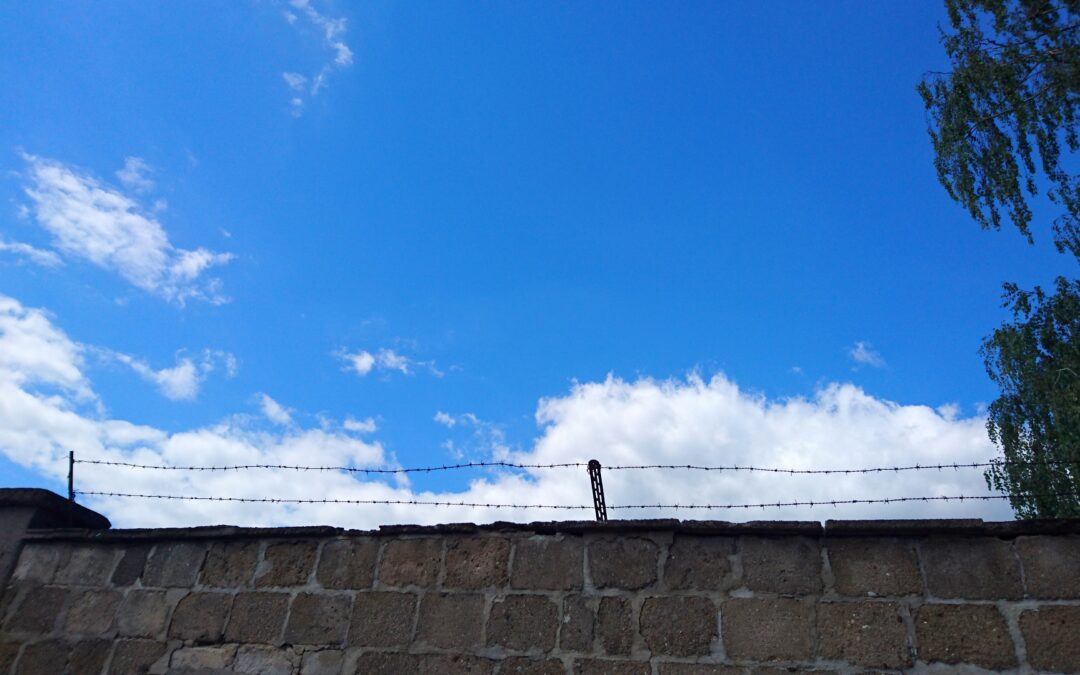 Auschwitz-Birkenau: ZeugnisAblegen-Retreat