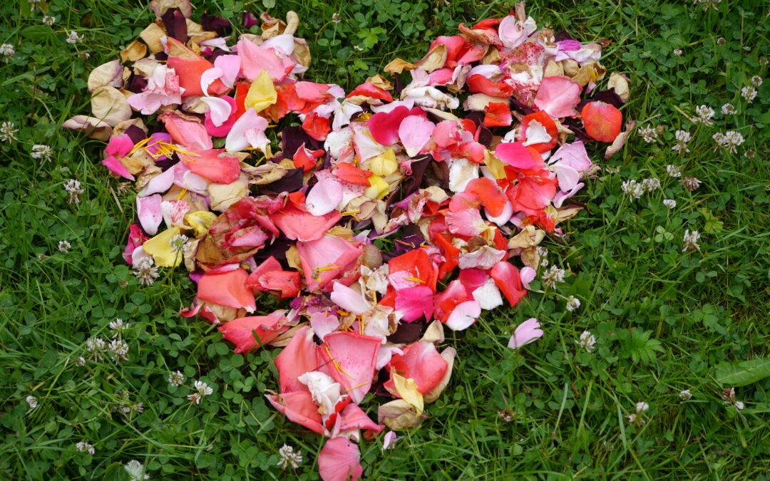 sein. und sein lassen. – Ein Ökosattva-Retreat